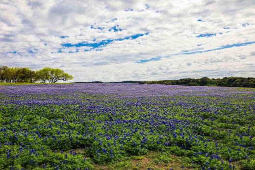 Magazine - Texas Our Texas