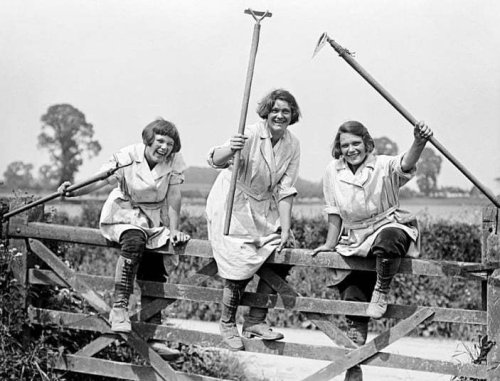 WW1 women at work: In pictures