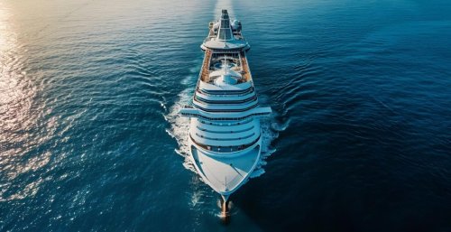 You'll never guess the insane amount this couple pays to live on a cruise ship