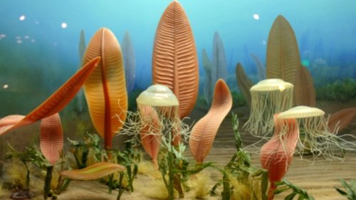 Scientists Say Earth May Have Had Yet Another Mass Extinction Event That Predates the Cambrian Explosion