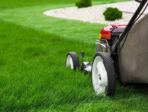 WHAT’S THE BEST TIME OF DAY TO MOW YOUR LAWN?
