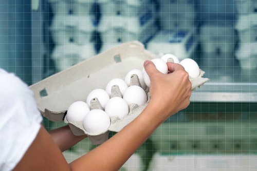 Is It Safe to Eat Eggs, Chicken or Dairy During the Bird Flu Outbreak?