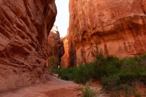 Headed to Utah? Here are the tips and tricks to conquering those fierce hikes