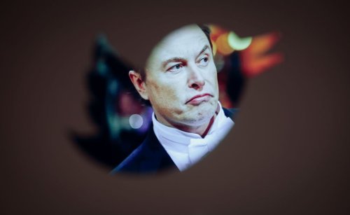 Free Speech on Elon Musk's Twitter