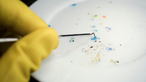 A new breakthrough could help clean microplastics from the environment