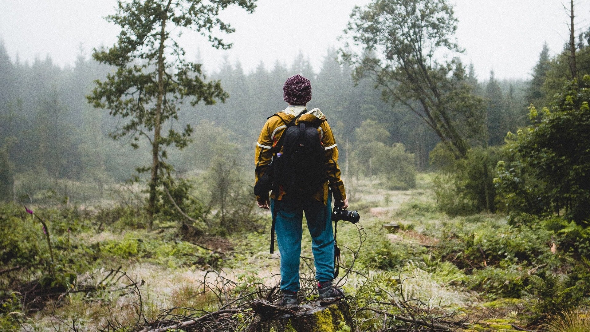 Ecology and Photography