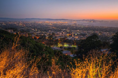 Magazine - The Berkeley Scanner