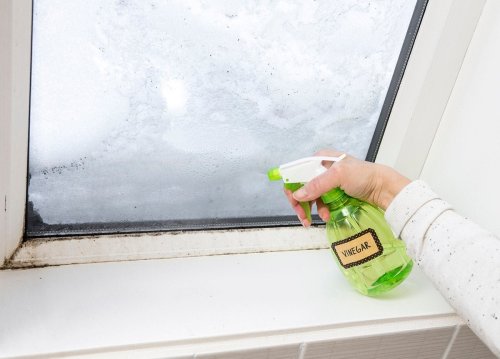 How to Get Rid of Every Kind of Mold Around the House—for Good
