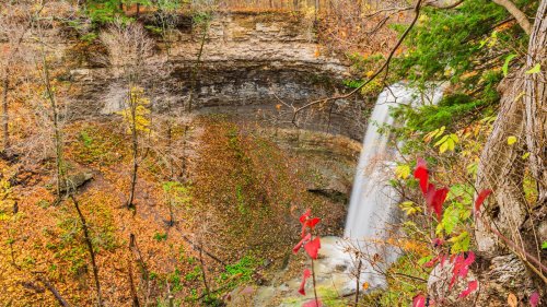 Between Toronto & Niagara Falls Is A Scenic Nature Preserve With Forest Beauty