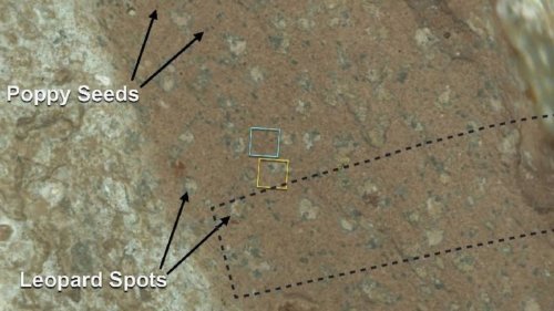 Mars Rock Sparks Debate: What Is the True Origin of Life?