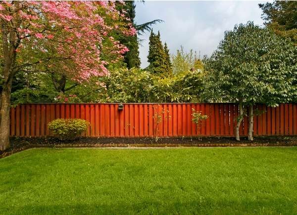 Trees and Property Lines: 8 Things All Neighbors Should Know