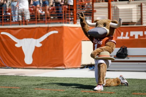 The internet quickly pointed out how Texas' new end zone looks like a body part