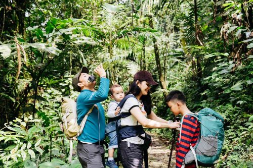 The Ultimate Family Vacation Guide