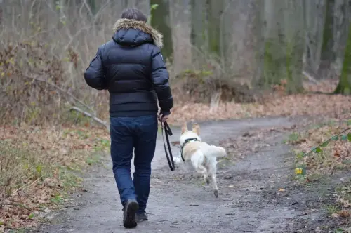 7 Ways Your Dog Can Boost Your Health and Happiness After 50