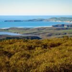 17 Things to do in Point Reyes National Seashore
