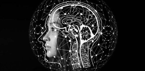 What the MIND Diet Is and Why Researchers Call It The Best Diet for Brain Health