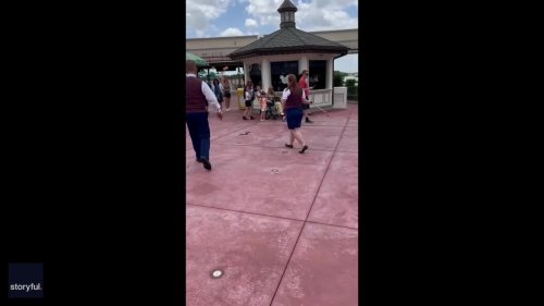 Disney Employee Attempts to Catch Snake at Florida Theme Park