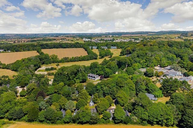 Hampshire holidays cover image