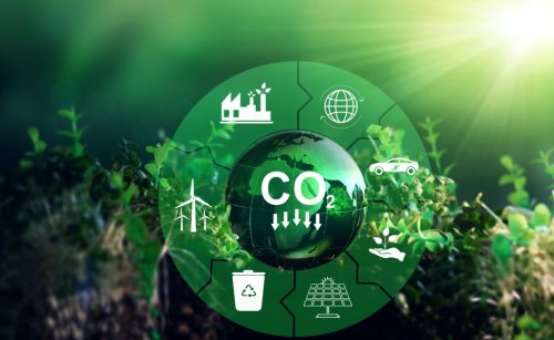 Magazine - Food Sustainability