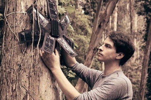 Old mobile phones are helping to save the rainforest