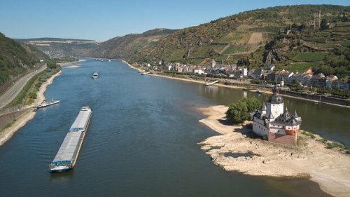Niedrigwasser im Rhein: Wie sehr bedroht es unsere Wirtschaft?