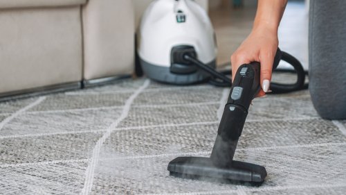 Everything you need to know before buying steam cleaners