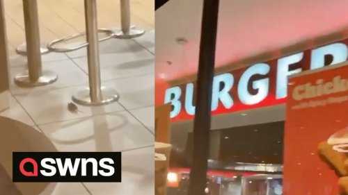 UK man spots MOUSE running around Burger King restaurant in Birmingham