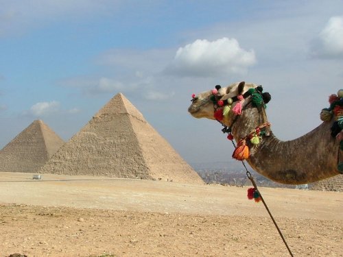 Interesting Facts about the Egyptian Pyramids That Might Surprise You
