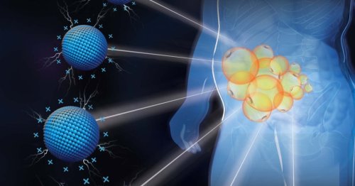 Major obesity advance takes out targeted fat depots anywhere in the body