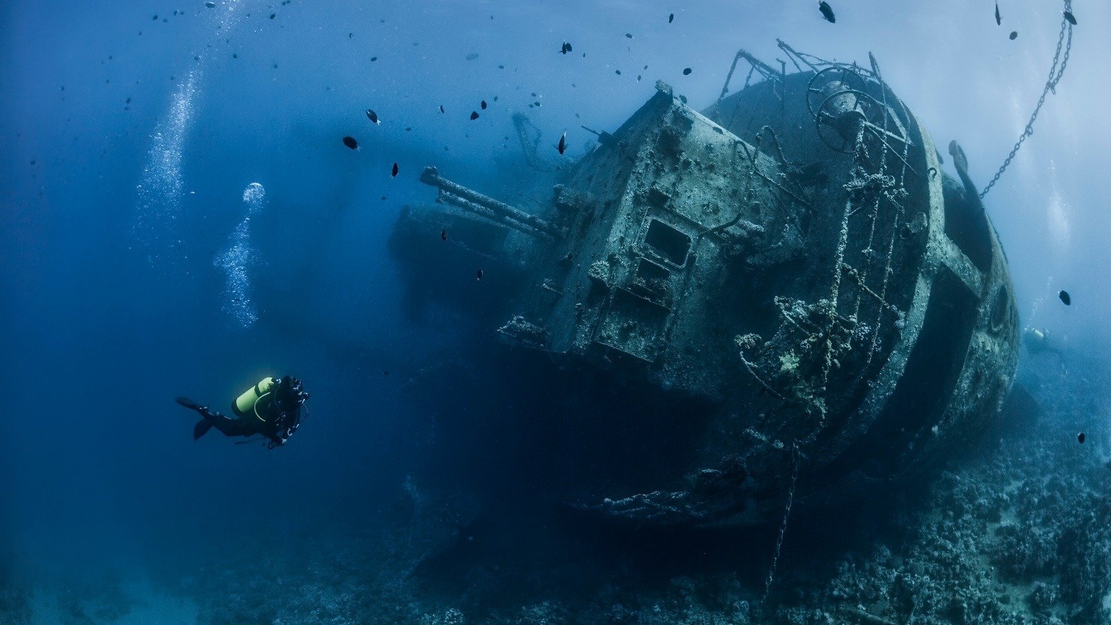 THE CENTURIES-OLD SHIPWRECK DISCOVERED ON DAYTONA BEACH IN FLORIDA ...