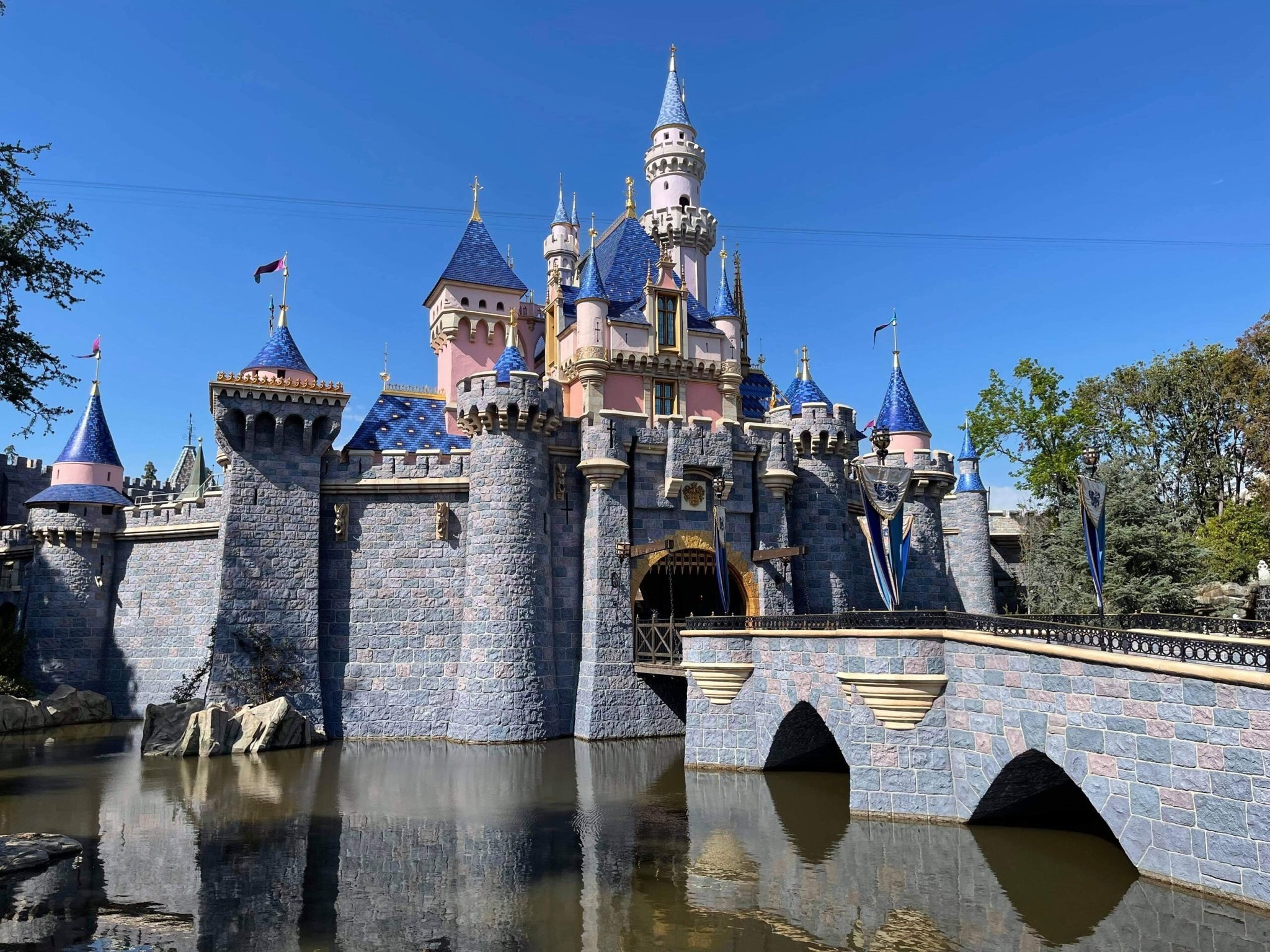 Disneyland Reopening! - Flipboard