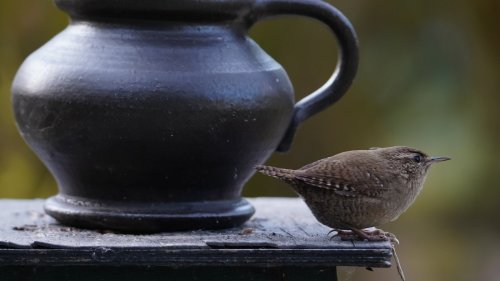 Birdhouse DIY's you'll want to try out in your garden