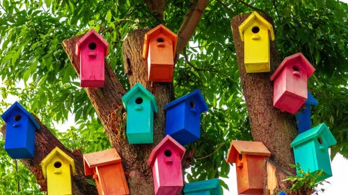 DIY birdhouse ideas to try out in your backyard 