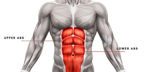 Ab Exercises - cover