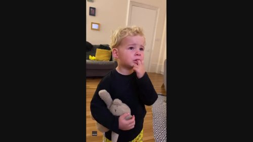 Little Boy Shows Full Range of Emotions While Watching The Simpsons