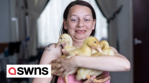 UK woman shocked after shop-bought eggs hatch leaving her with THREE ducks