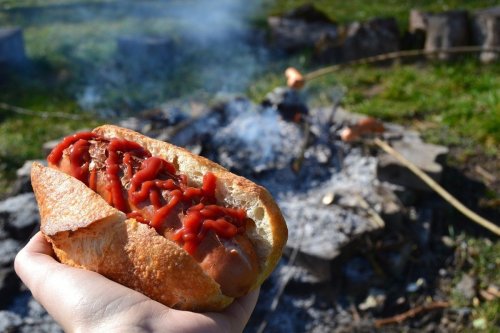 These hot dog styles from around the world are something to behold