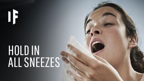 What If You Held in All Your Sneezes?