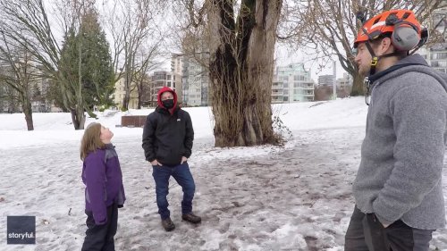 Daring Vancouver Tree Climber Recovers 9-Year-Old's Drone