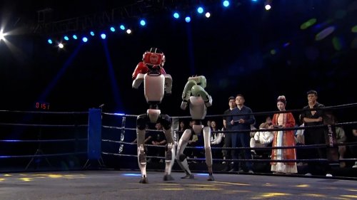Humanoid robots in China fight one another in boxing ring