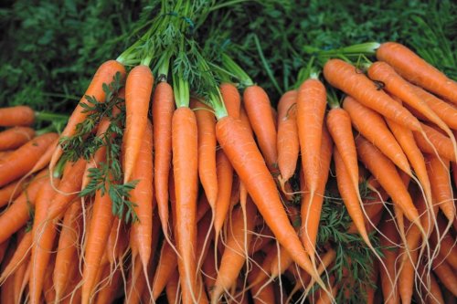 More Carrots Recalled Due to E. Coli