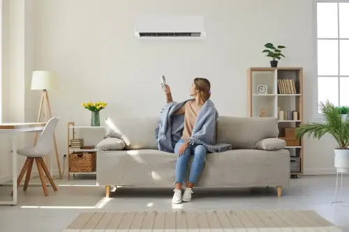 Want a Healthy & More Comfortable Home? Focus on Your IAQ!