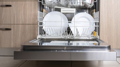 The Cons To Dishwashers That You Never Knew About 