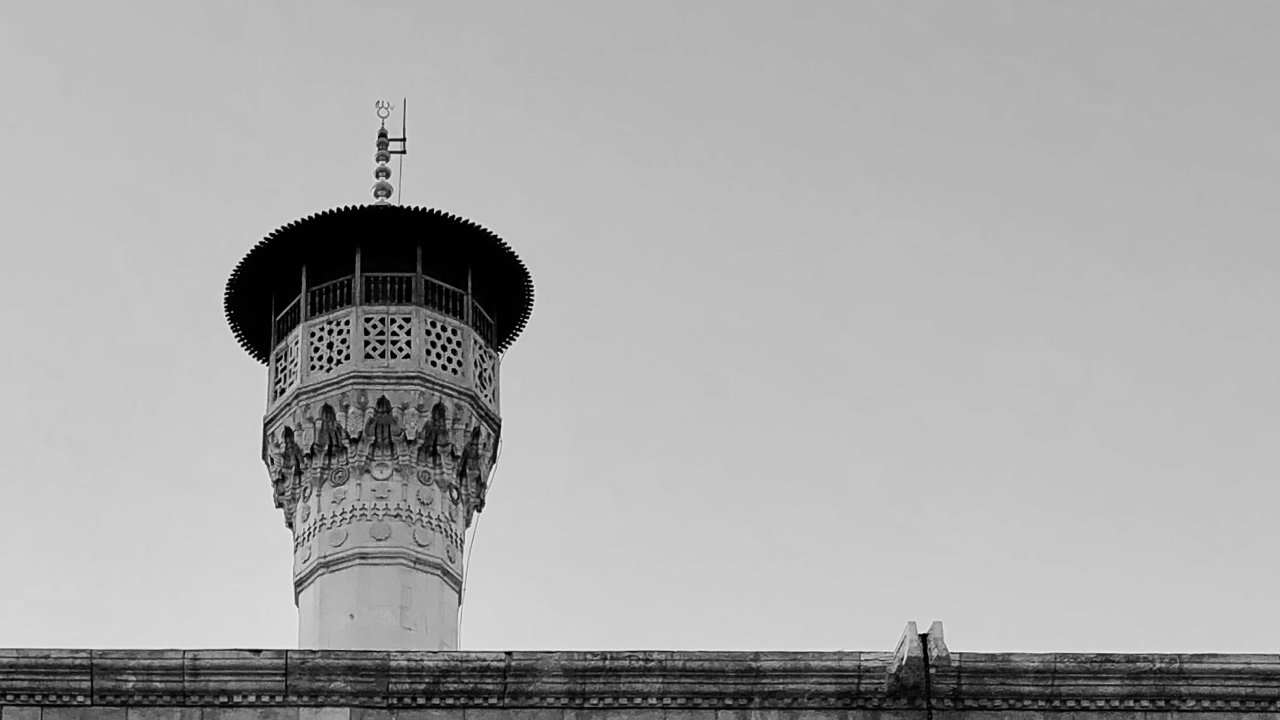 Antep cover image