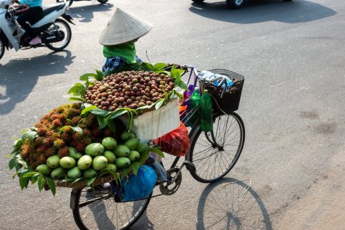 Tasty Vietnam Food Travel Tips