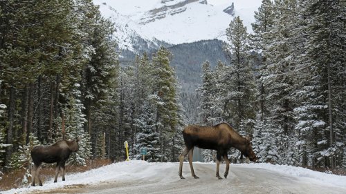 Canadian Locations Where You Can See Amazing Things