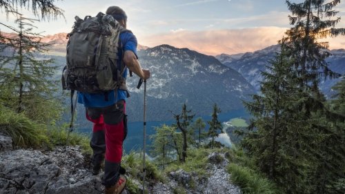 Trekking poles: why you need them and how to choose them