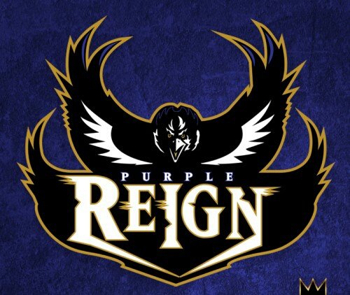 Baltimore Ravens cover image