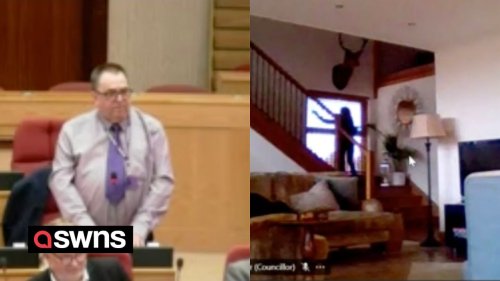 Councillor caught on camera cleaning her windows during livestreamed council meeting