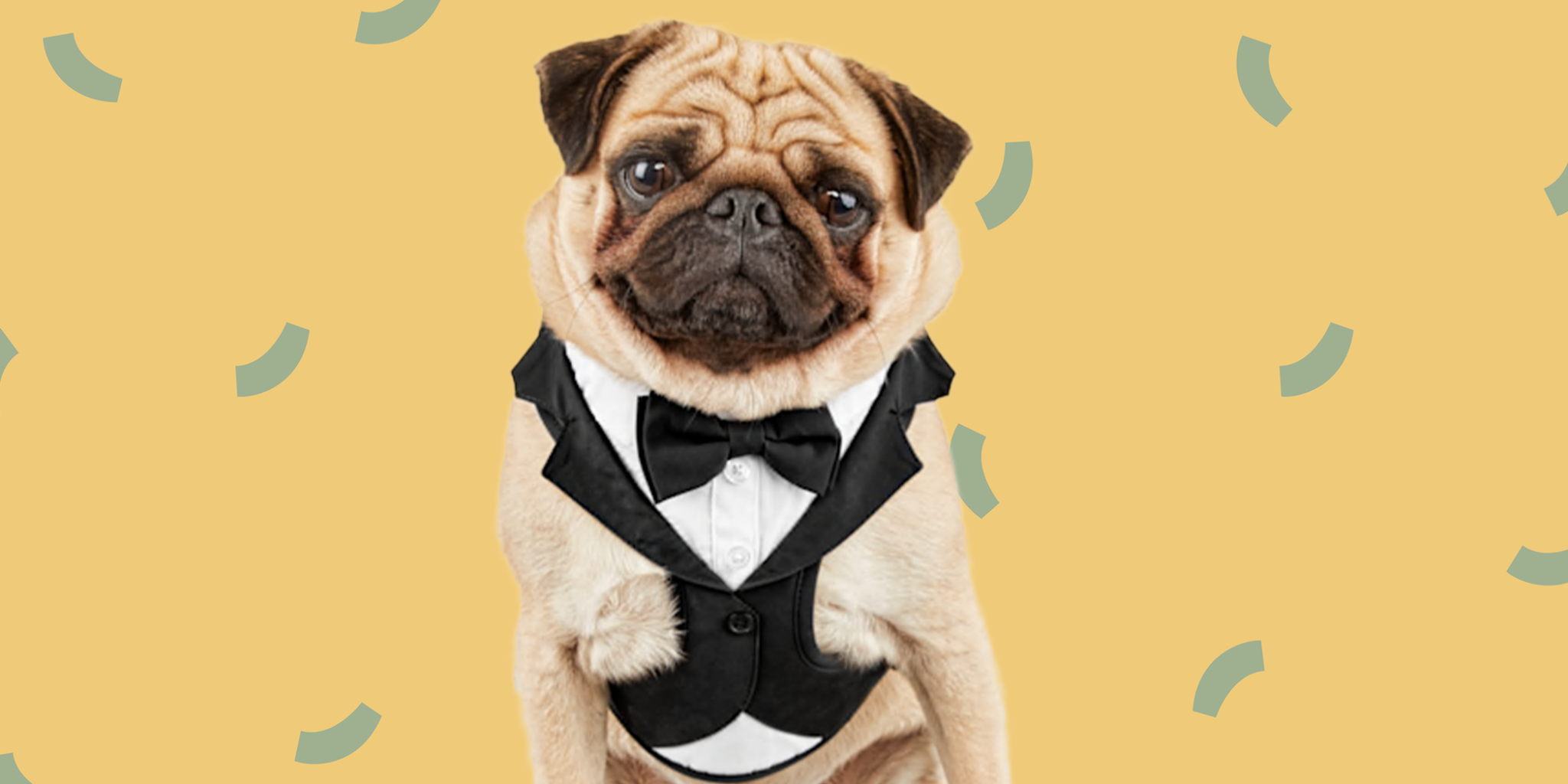 The Complete Guide to Including Pets in Your Wedding